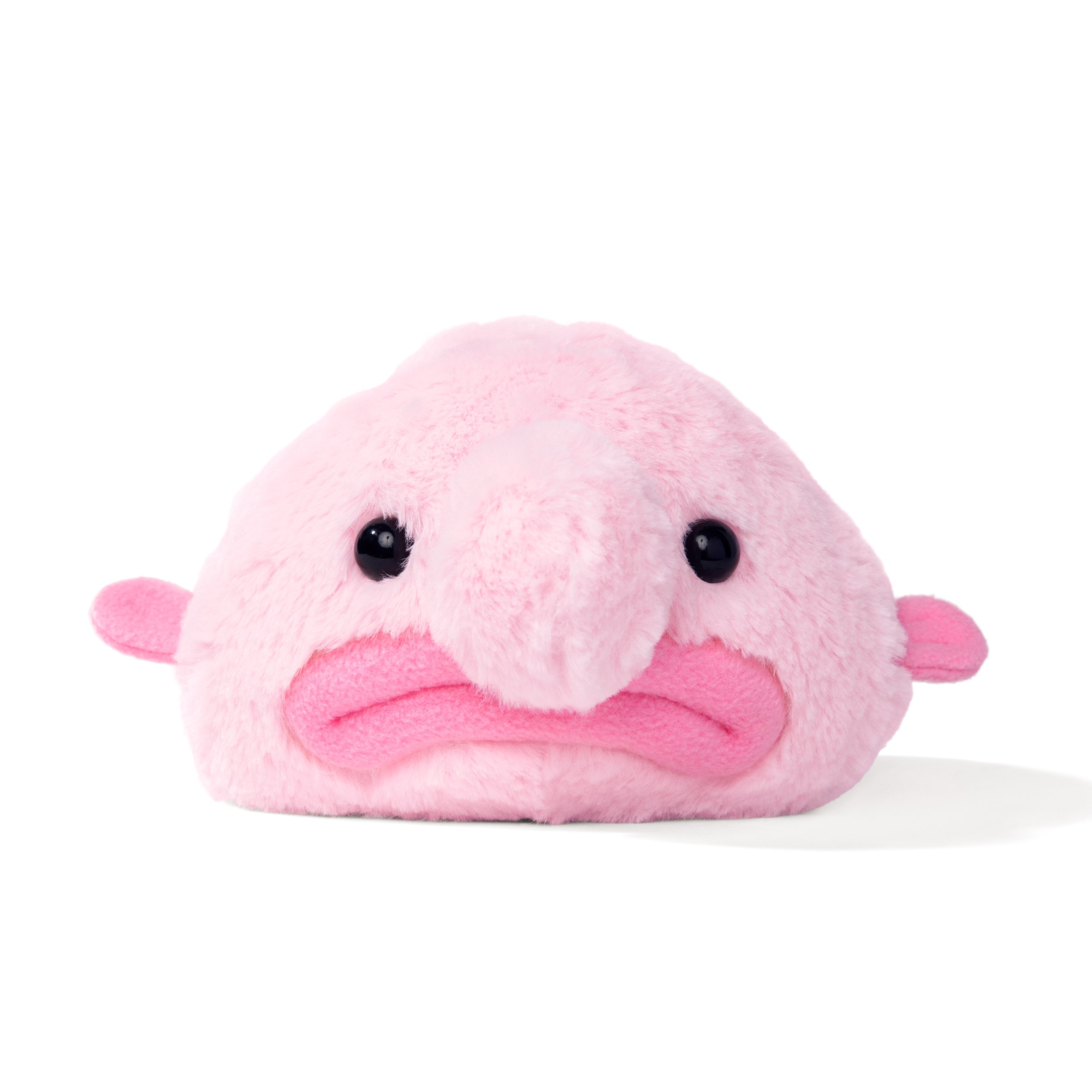 Blobby the Blobfish – Uncute