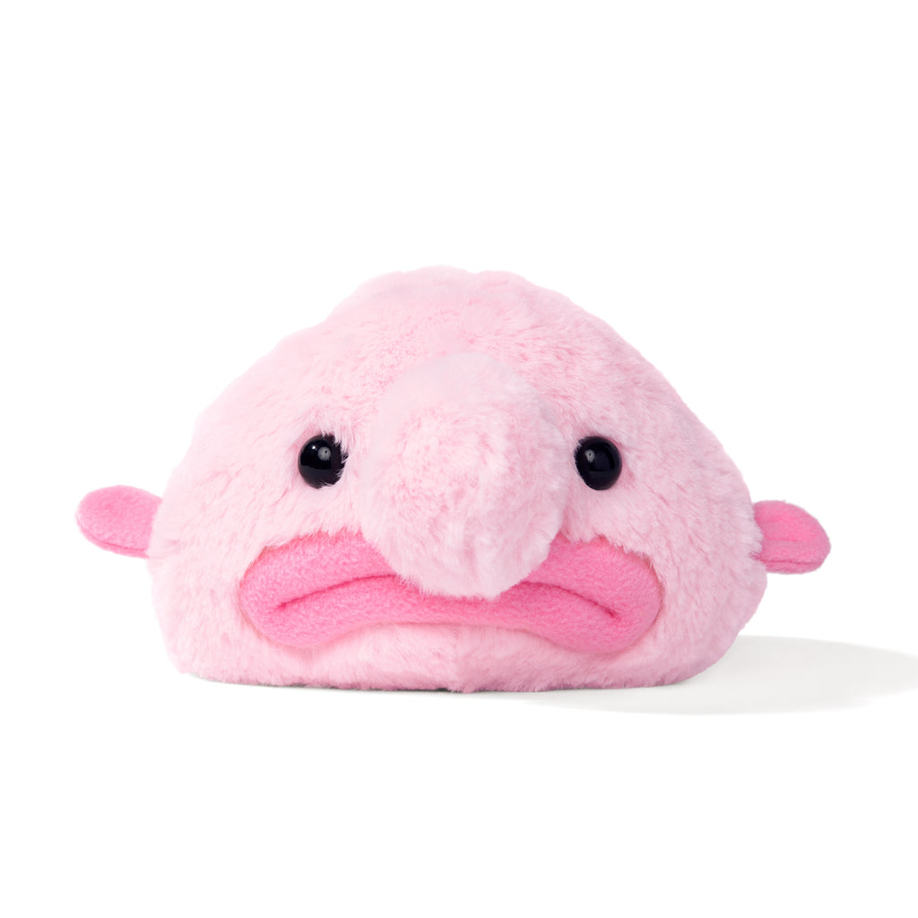 Blobby the Blobfish